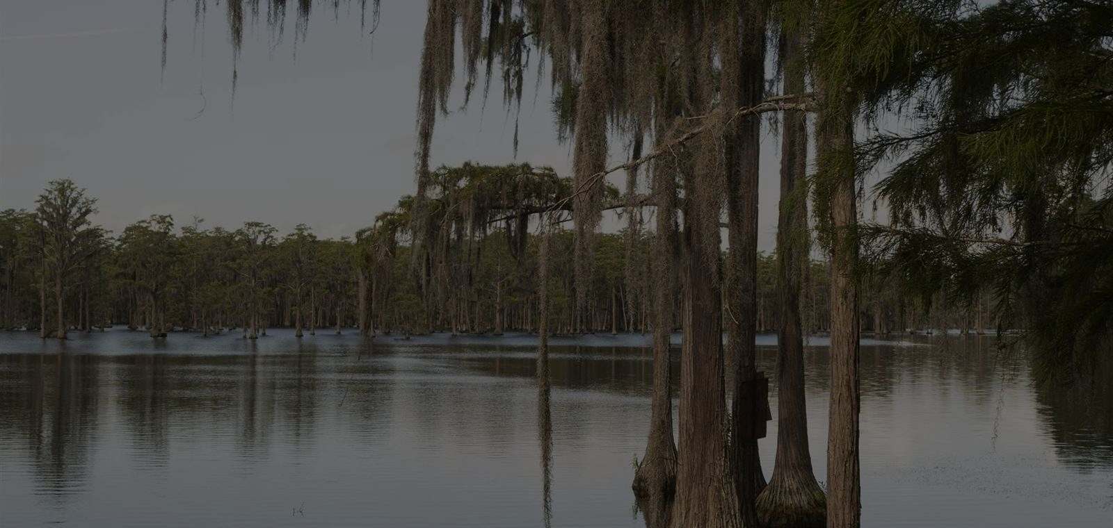 Louisiana marsh grass under an open sky