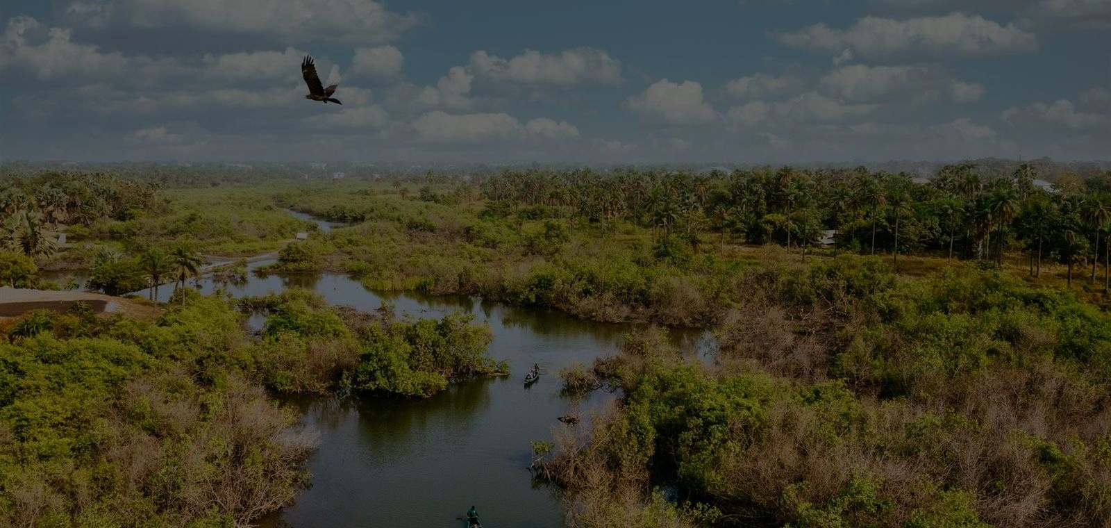 Wetland seen from above, boats on open water
